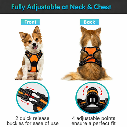 Reflective dog vest front and back view showing adjustable neck and chest fit